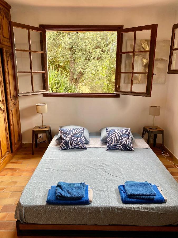 Entre Nice Et Monaco Grande Villa Avec Piscine Privee 12 Personnes Drap Ngoại thất bức ảnh