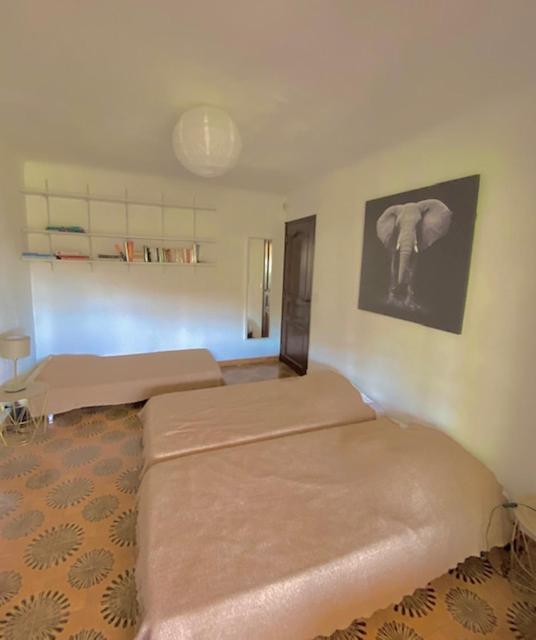 Entre Nice Et Monaco Grande Villa Avec Piscine Privee 12 Personnes Drap Ngoại thất bức ảnh